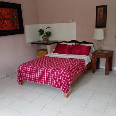 Appartement En Planta Alta A Pie De Avenida