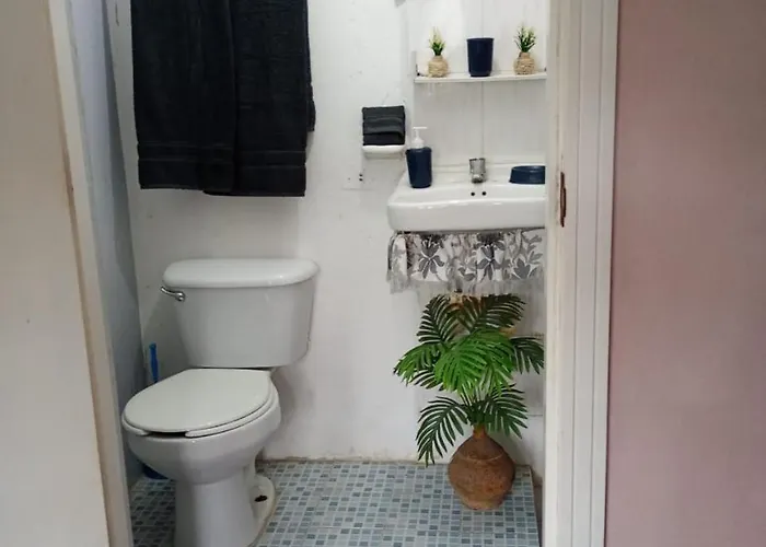 Apartment En Planta Alta A Pie De Avenida